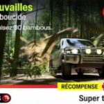 forêt de bambous