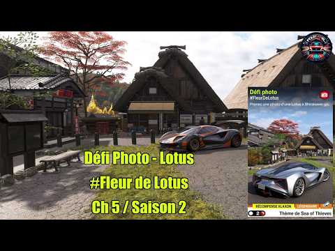 FH6 -C5S2 – Défi Photo #FleurDeLotus