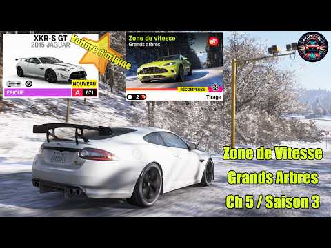 FH6 – Zone de Vitesse – Grands Arbres – C5S3